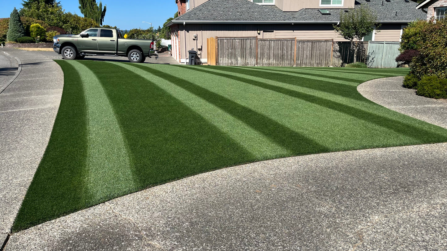 Mystique Perennial Ryegrass Grass Seed tied for 3rd schedule A quality, tied for 4th schedule B quality, top 5% NTEP color (fertilized locations), top 2% traffic & wear, top 3% self-repair, top 8% Disease Score™ and 0.0% 5-year poa annua (NJ) on NTEP.