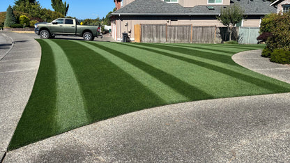 Mystique Perennial Ryegrass Grass Seed tied for 3rd schedule A quality, tied for 4th schedule B quality, top 5% NTEP color (fertilized locations), top 2% traffic & wear, top 3% self-repair, top 8% Disease Score™ and 0.0% 5-year poa annua (NJ) on NTEP.