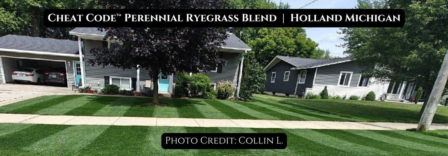 CHEAT CODE™ remains the #1 performing perennial ryegrass blend in fertilized NTEP locations in the Northeast.  The cultivars averaged top 4% NE turf quality & top 7% NE color (NJ+IL+VA) with the highest gray leaf spot rating of any rye blend (8.4/9.0).
