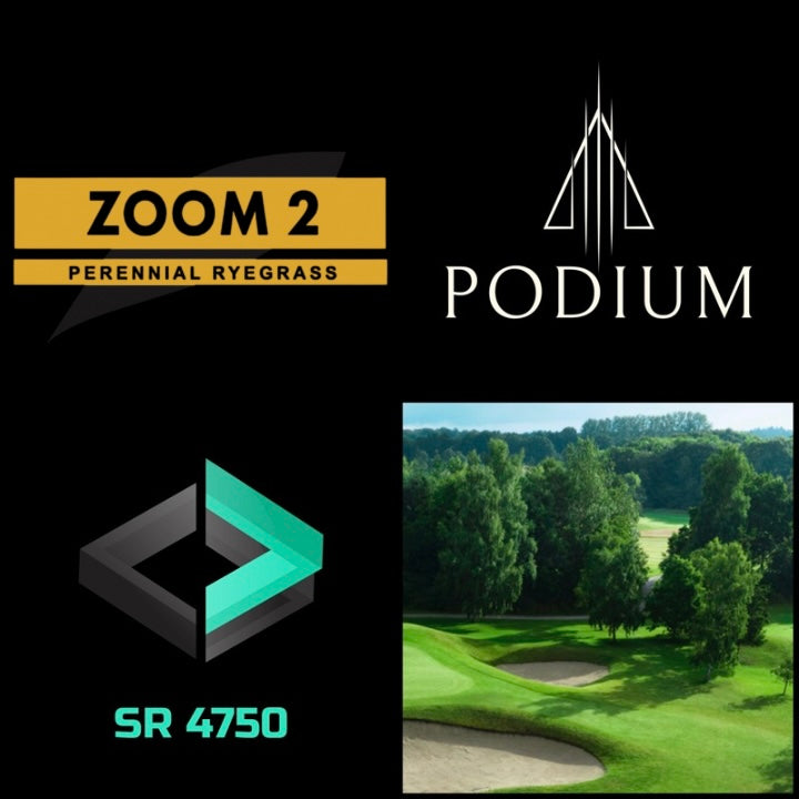 (Bulk / Acreage) Perennial Ryegrass Grass Seed