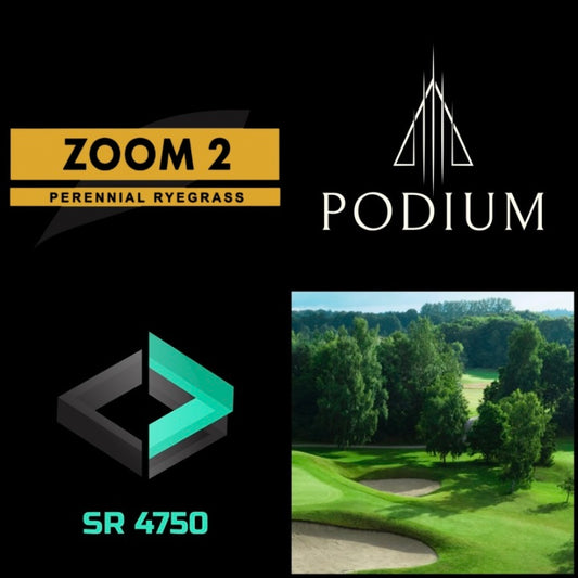 (Bulk / Acreage) Perennial Ryegrass Grass Seed