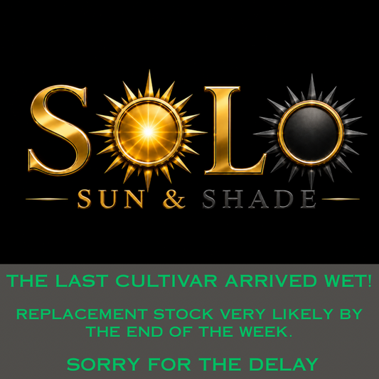 SOLO™ is a versatile TTTF blend with cultivars selected for superior shade performance & full sun performance at the same time. Boasts #1 shade performance of any TTTF blend. #1 full sun performance of any TTTF blend in the NE or Pacific NW (70/30 Score™)
