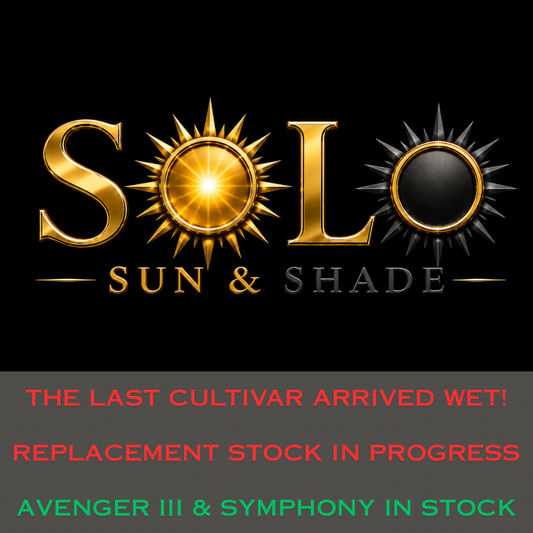 SOLO™ is a versatile TTTF blend with cultivars selected for superior shade performance & full sun performance at the same time. Boasts #1 shade performance of any TTTF blend. #1 full sun performance of any TTTF blend in the NE or Pacific NW (70/30 Score™)