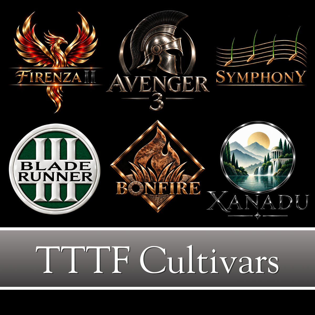 Our Turf Type Tall Fescue cultivars are selected for the most reliable turf quality possible per climate specific fertilized NTEP locations of similar disease pressure.  Cultivars include: Firenze II, Bladerunner 3, Bonfire, Avenger 3, Symphony & Xanadu.