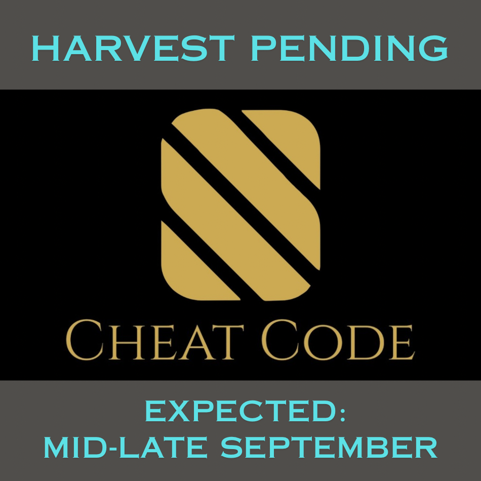 CHEAT CODE™ is by most metrics the #1 perennial ryegrass blend in the East.  The cultivars averaged top 4% overall performance in the east in fertilized locations (50/30/20 Score™) with top quality, disease, color, traffic, self-repair & 5-year poa annua.