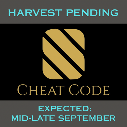 CHEAT CODE™ is by most metrics the #1 perennial ryegrass blend in the East.  The cultivars averaged top 4% overall performance in the east in fertilized locations (50/30/20 Score™) with top quality, disease, color, traffic, self-repair & 5-year poa annua.