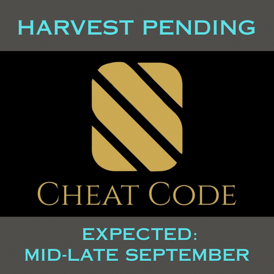 CHEAT CODE™ is by most metrics the #1 perennial ryegrass blend in the East.  The cultivars averaged top 4% overall performance in the east in fertilized locations (50/30/20 Score™) with top quality, disease, color, traffic, self-repair & 5-year poa annua.