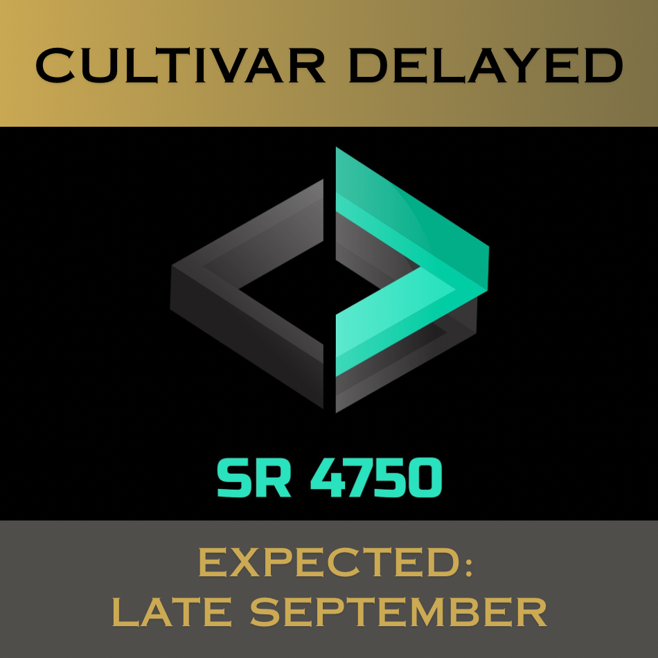 SR4750 Perennial Ryegrass Grass Seed has stolons for superior density with less overseeding. It boasts top 4% NTEP color (fertilized locations), top 1% self-repair, top 2% Disease Score™, top 20% traffic & wear performance & 0.0% 5-year poa annua (NJ).