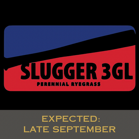 Slugger 3GL Perennial Ryegrass Grass Seed tied for 2nd for gray leaf spot (8.7), had top 2% turf quality in the east (fertilized locations), top 10% color in the east (fertilized locations), top 8% drought, only 1.7% 5-yr poa annua (NJ), top 9% traffic.