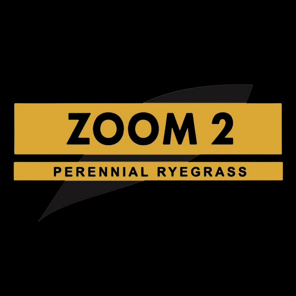 ZOOM 2 Perennial Ryegrass Grass Seed was #1 in the east for fertilized NTEP locations mowed at 1.1" or higher (50/30/20 Score™, NJ/VA/MD). Top 10% color (fertilized NTEP locations), top 4% Disease Score™, top 4% traffic & wear, top 4% divot recovery.