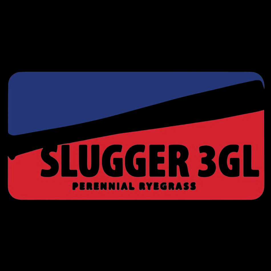 Slugger 3GL Perennial Ryegrass Grass Seed tied for 2nd for gray leaf spot (8.7), had top 2% turf quality in the east (fertilized locations), top 10% color in the east (fertilized locations), top 8% drought, only 1.7% 5-yr poa annua (NJ), top 9% traffic.