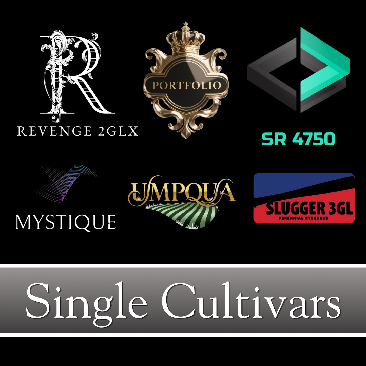 Our cultivars are selected for top scoring turf quality and color in at least one climate.  Most also top the charts for several secondary metrics like disease performance, traffic & wear, 5-year poa annua invasion, low input performance & self repair.