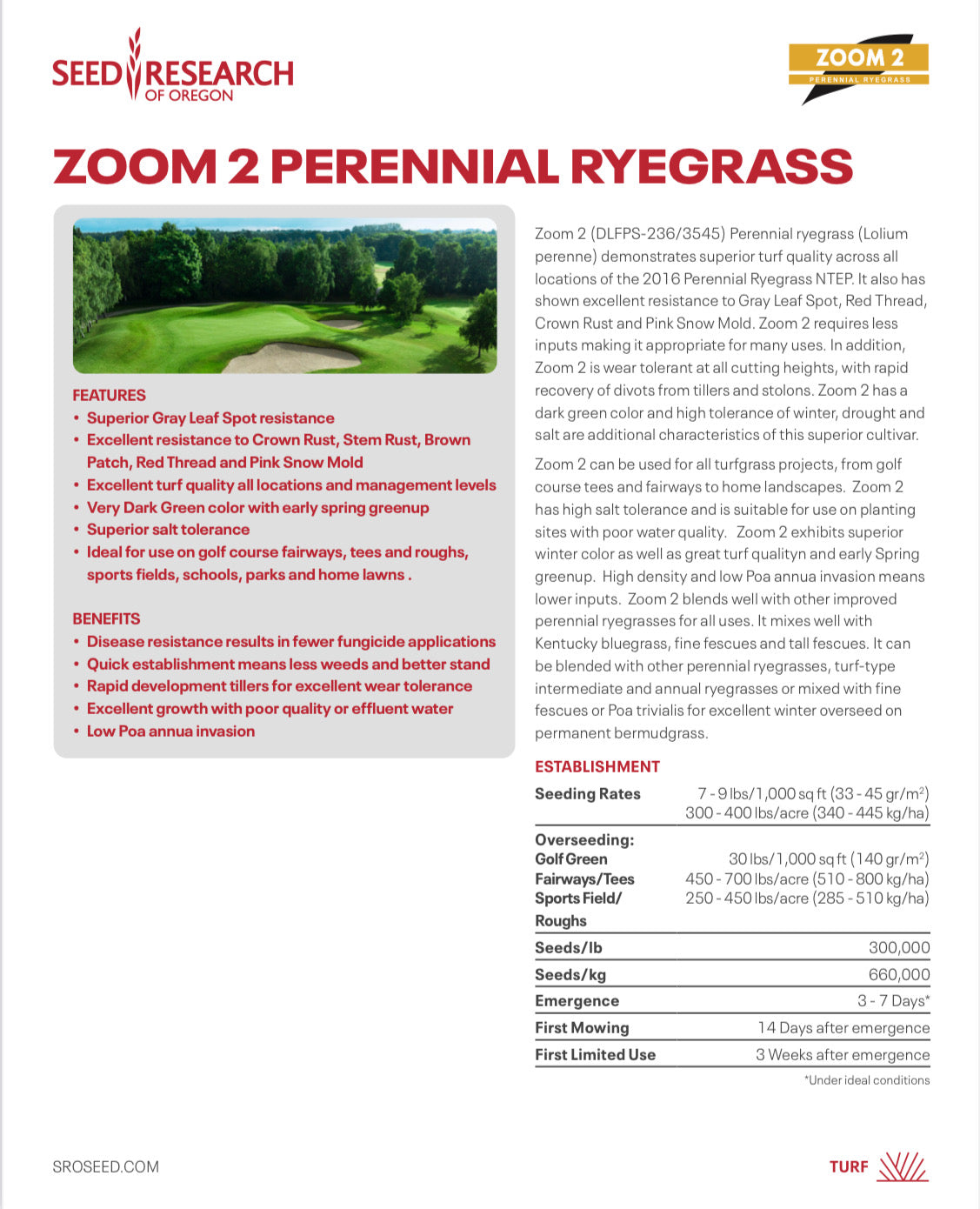 Zoom 2 has top 4% spread trait and has stolons while also possessing very dark color at most fertilized NTEP locations.  It is highly resistant to gray leaf spot (8.3 out of 9.0 on NTEP).  Zoom 2 should be seeded at 7-9 pounds per 1,000 square feet according to Seed Research of Oregon.  Elite top 10% color average for fertilized NTEP locations.