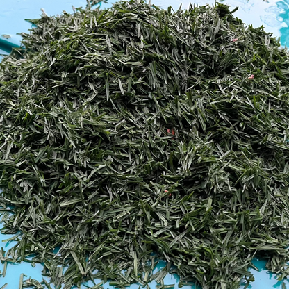 Mystique clippings show off Mystiques near best disease profile as well as it's top turf quality and very dark green color that ranked in the top 5% for fertilized NTEP locations!