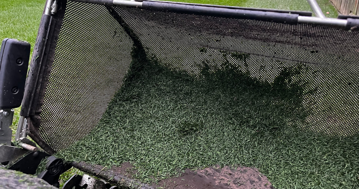 Try to find a diseased blade of grass!  These clippings are 100% mystique.  Top 3% for self repair.. top 8% for table 33-37 disease resistance.  What's not to love?!